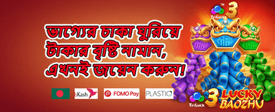 মেগা স্লট ফ্রি স্পিন উৎসব promotion